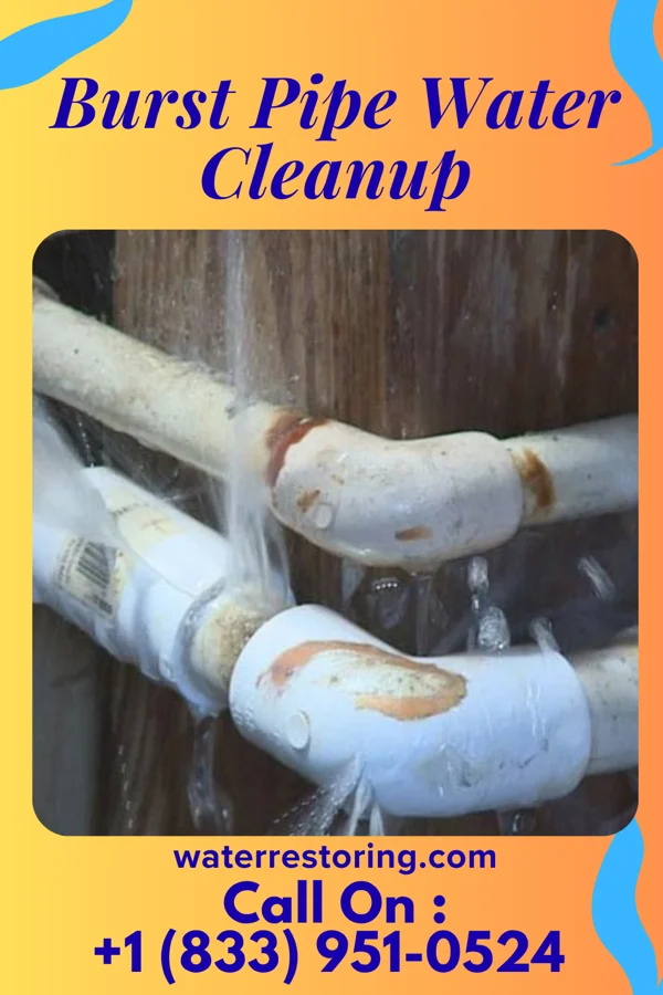 Burst Pipe Water Cleanup in Curwensville, PA