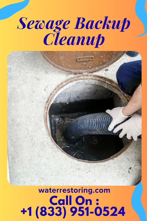 Sewage Backup Cleanup in Curwensville, PA