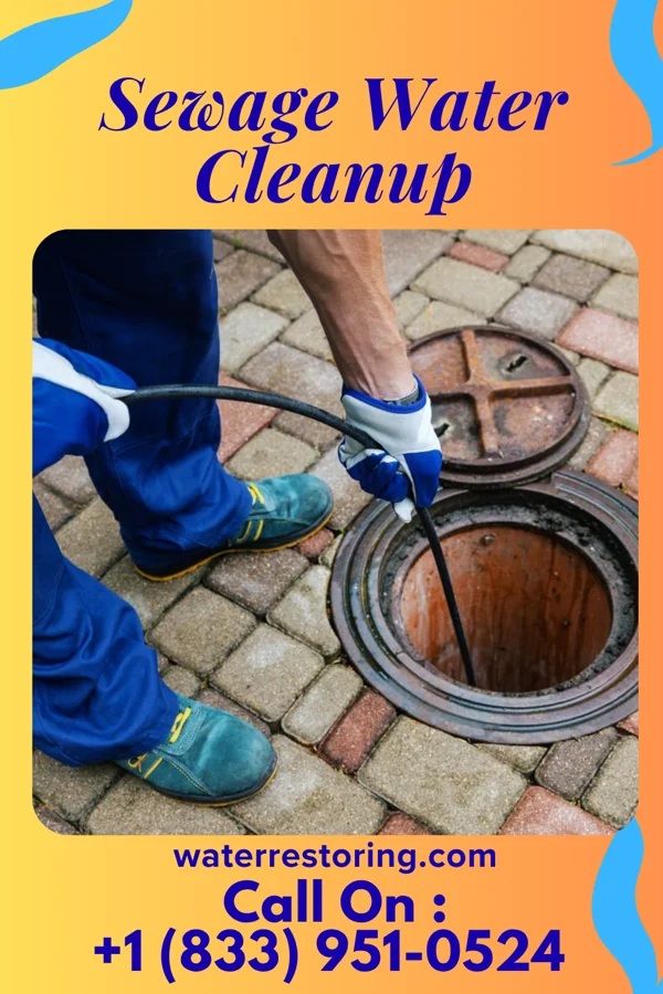 Sewage Water Cleanup in Curwensville, PA