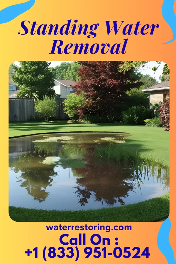 Standing Water Removal in Curwensville, PA